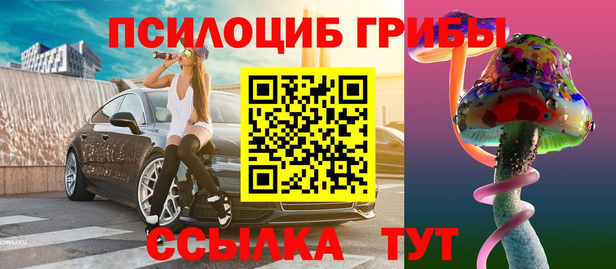 Псилоцибиновые грибы GOLDEN TEACHER Пугачёв